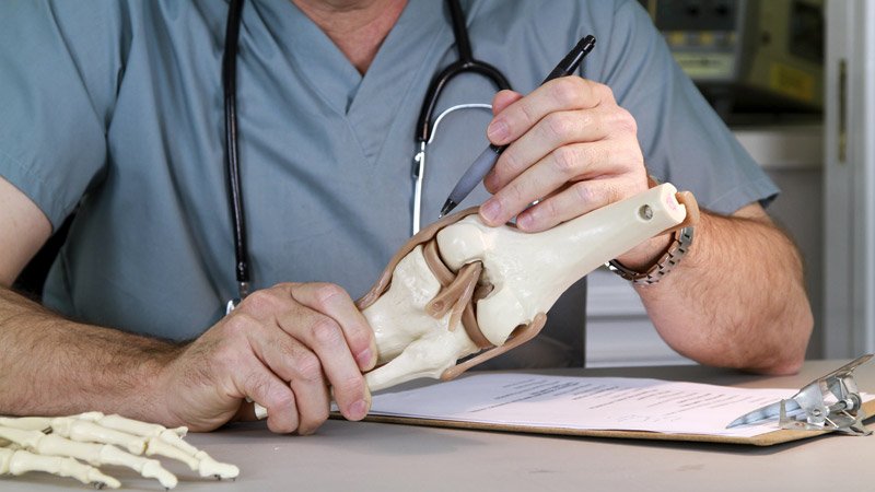 Doctor Examining a Knee Joint